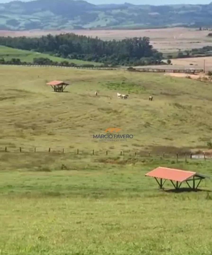 Fazenda à venda de 162 ha em Itapira, SP, Brasil