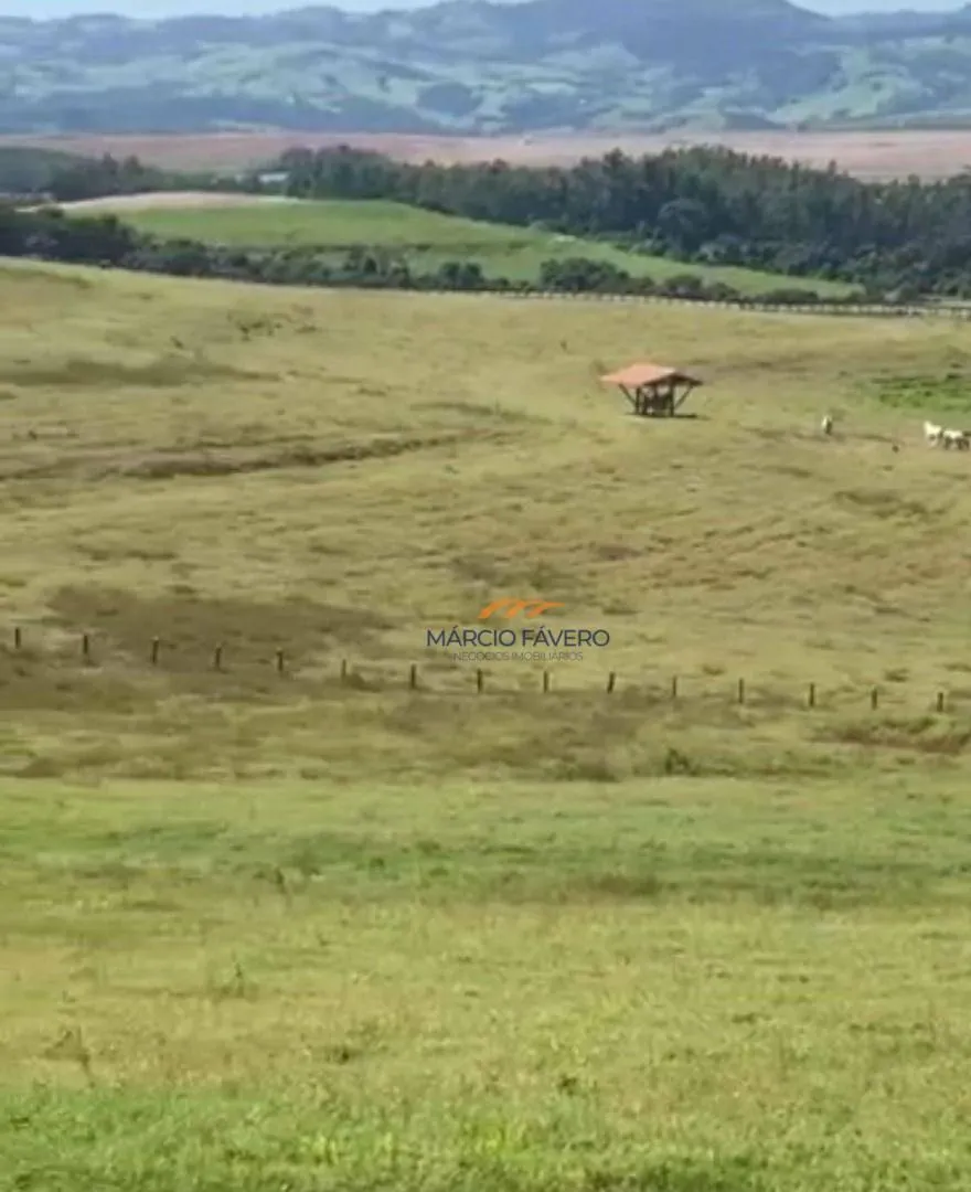 Fazenda à venda de 162 ha em Itapira, SP, Brasil