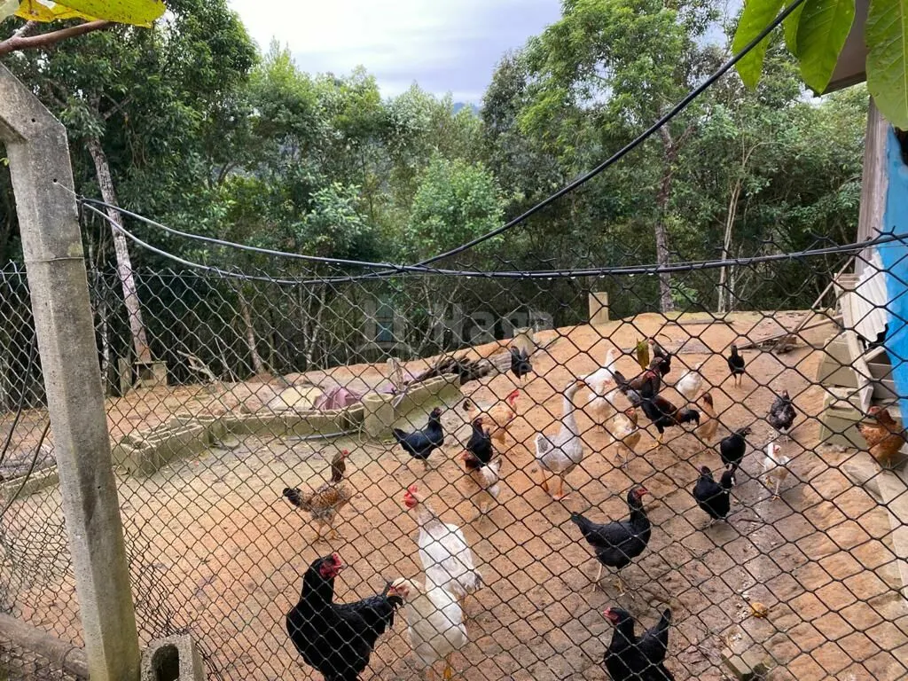Fazenda à venda de 3.600 m² em Nova Trento, SC, Brasil