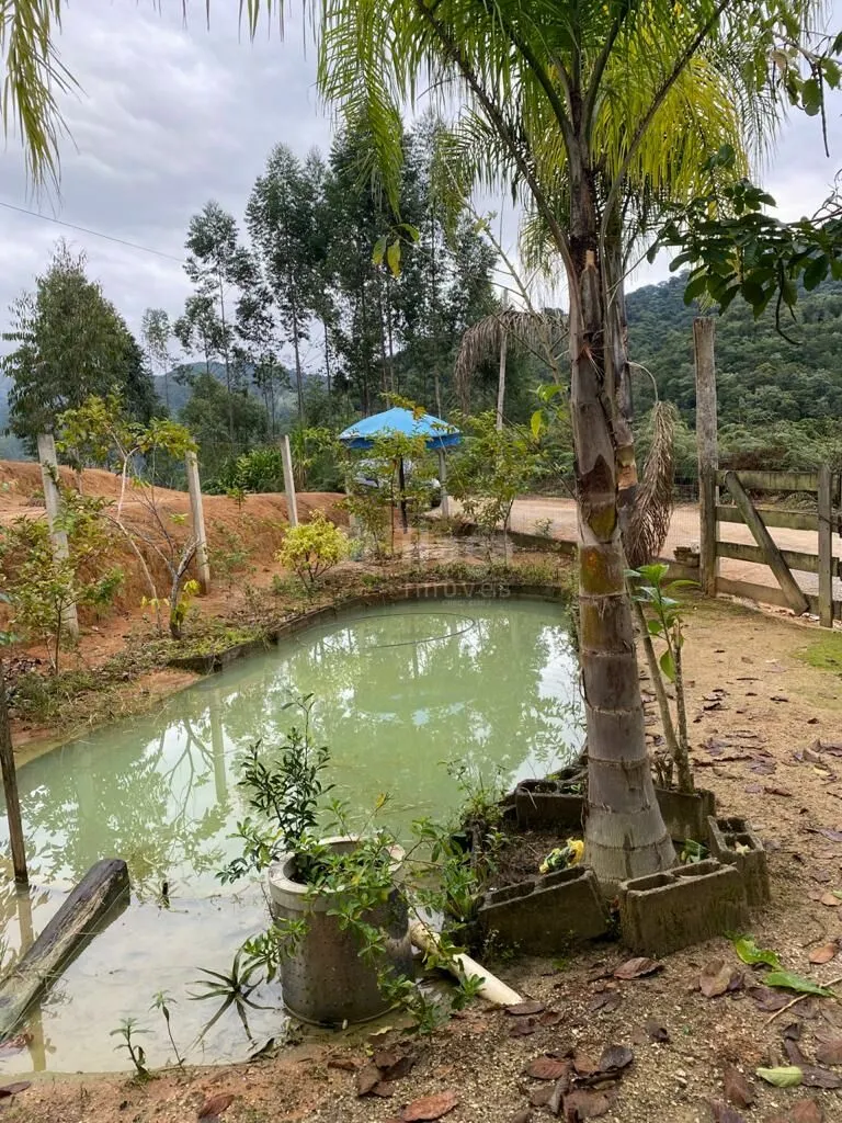 Fazenda à venda de 3.600 m² em Nova Trento, SC, Brasil
