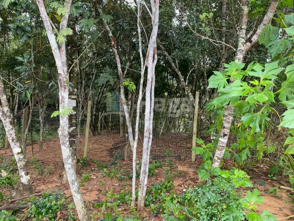 Fazenda à venda de 3.600 m² em Nova Trento, SC, Brasil