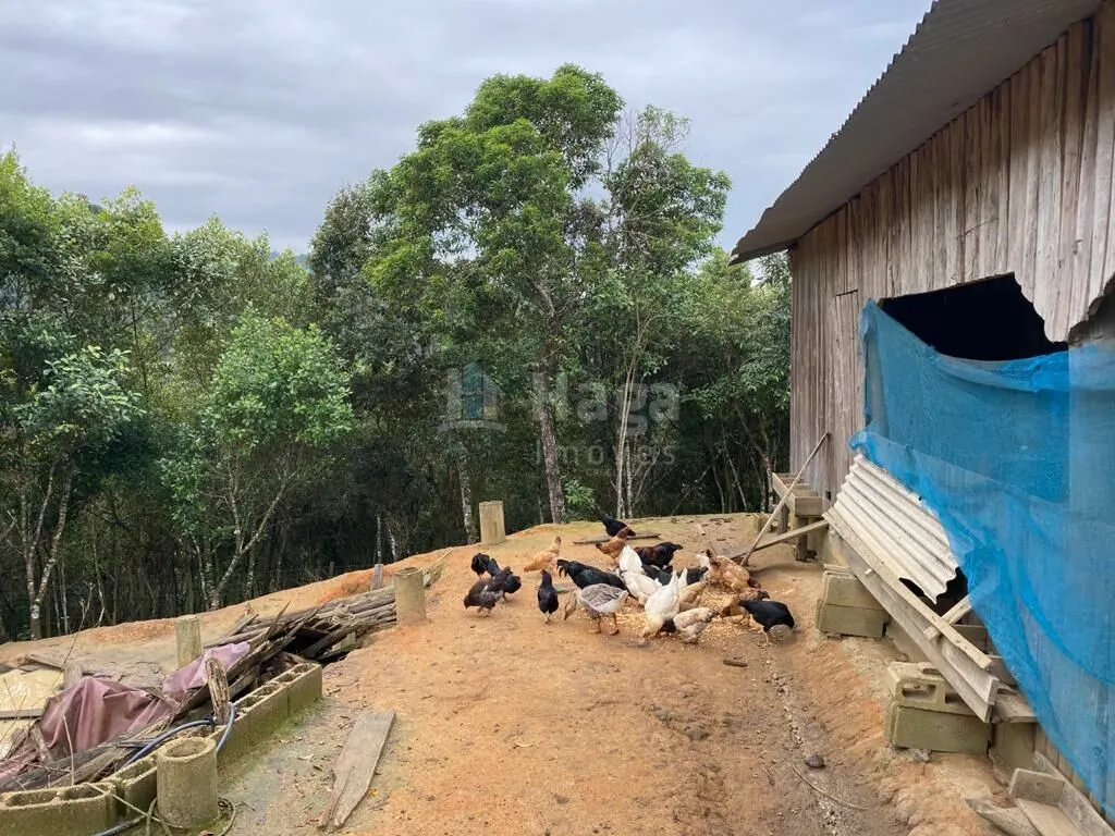 Fazenda à venda de 3.600 m² em Nova Trento, SC, Brasil