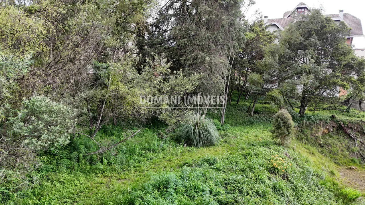 Plot for sale of 2,540 m² in Campos do Jordão, SP, Brazil
