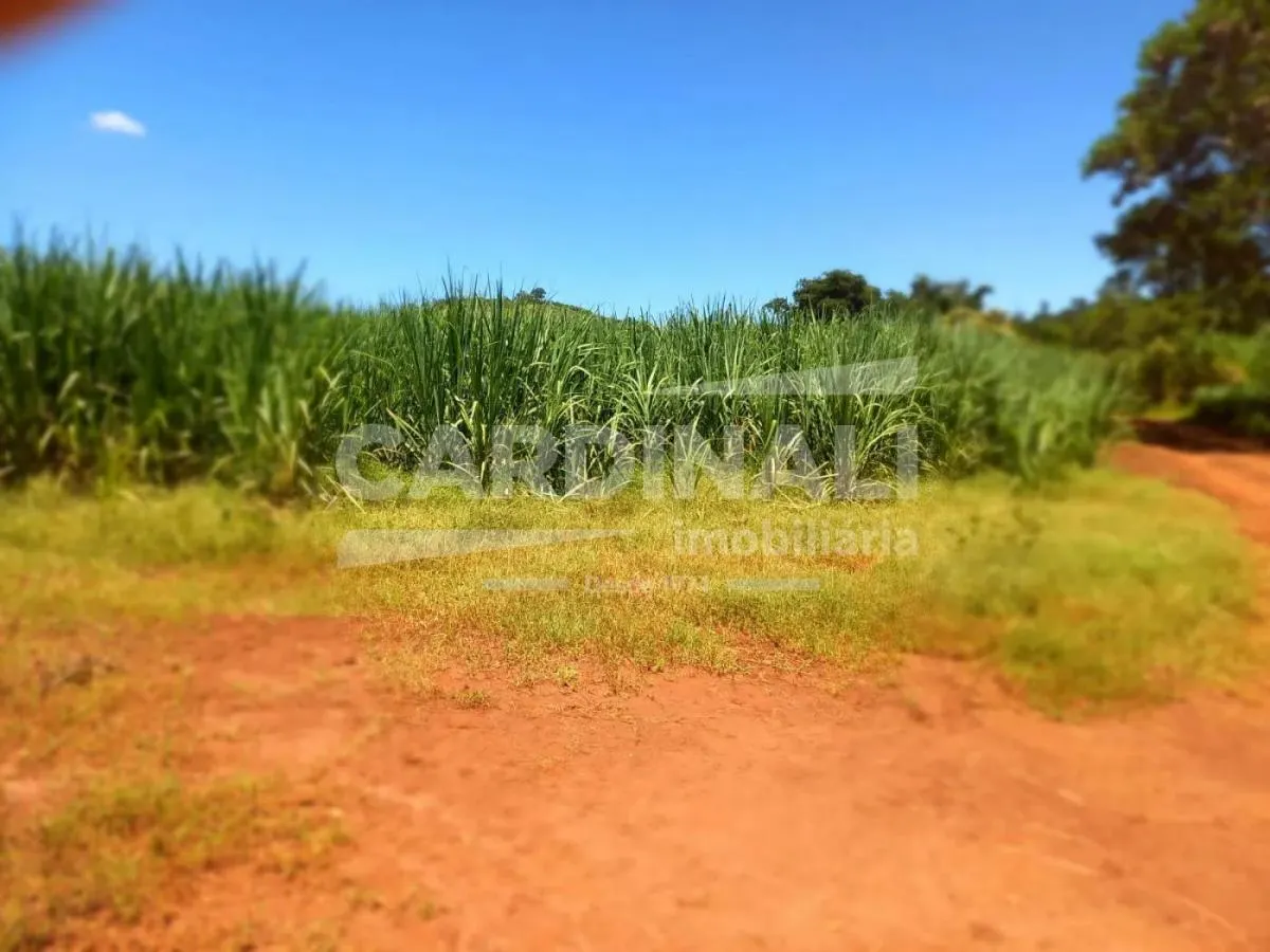 Sítio à venda de 31 ha em São Carlos, SP, Brasil
