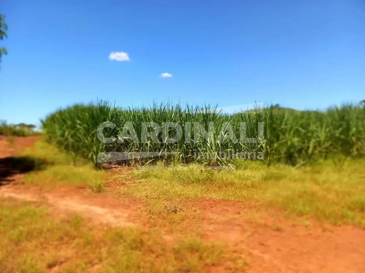 Sítio à venda de 31 ha em São Carlos, SP, Brasil