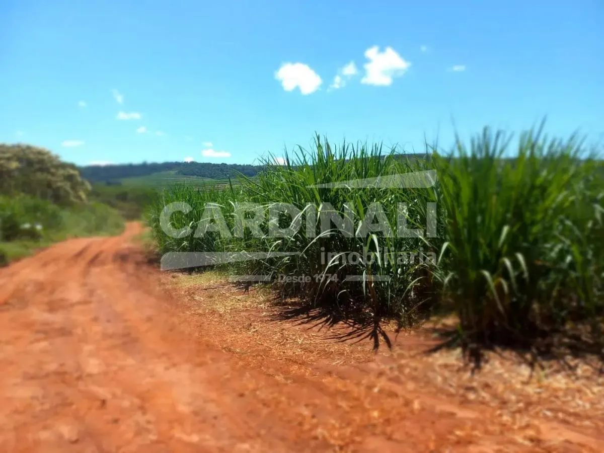Sítio à venda de 31 ha em São Carlos, SP, Brasil