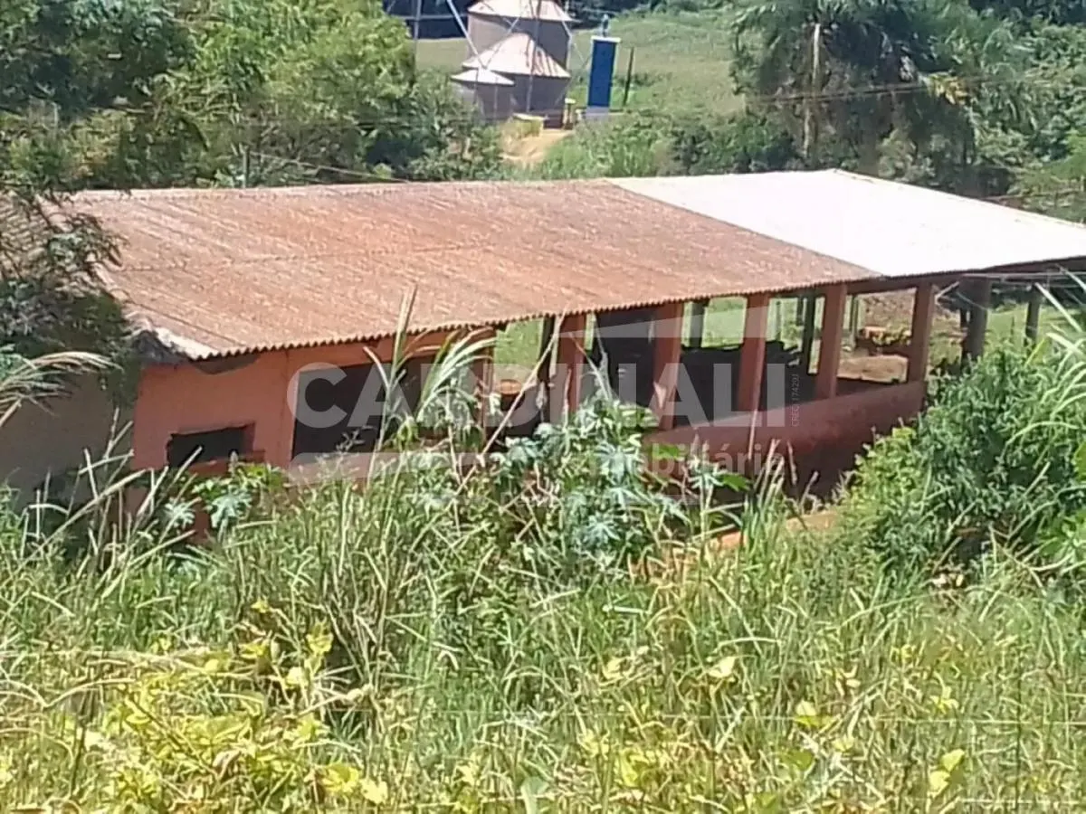Sítio à venda de 31 ha em São Carlos, SP, Brasil