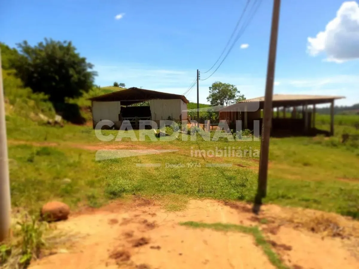 Sítio à venda de 31 ha em São Carlos, SP, Brasil