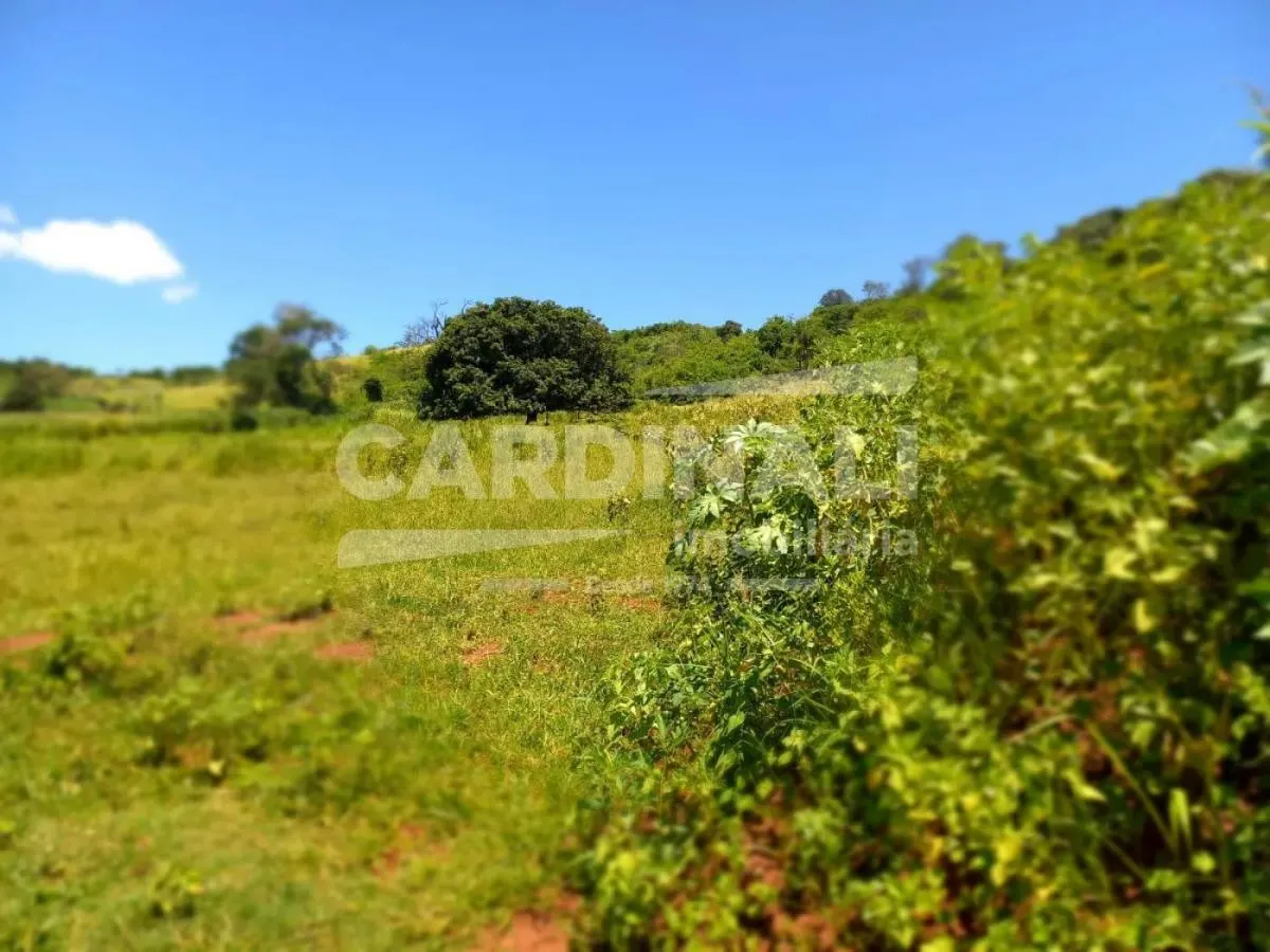 Sítio à venda de 31 ha em São Carlos, SP, Brasil