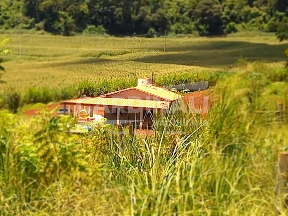 Sítio à venda de 31 ha em São Carlos, SP, Brasil