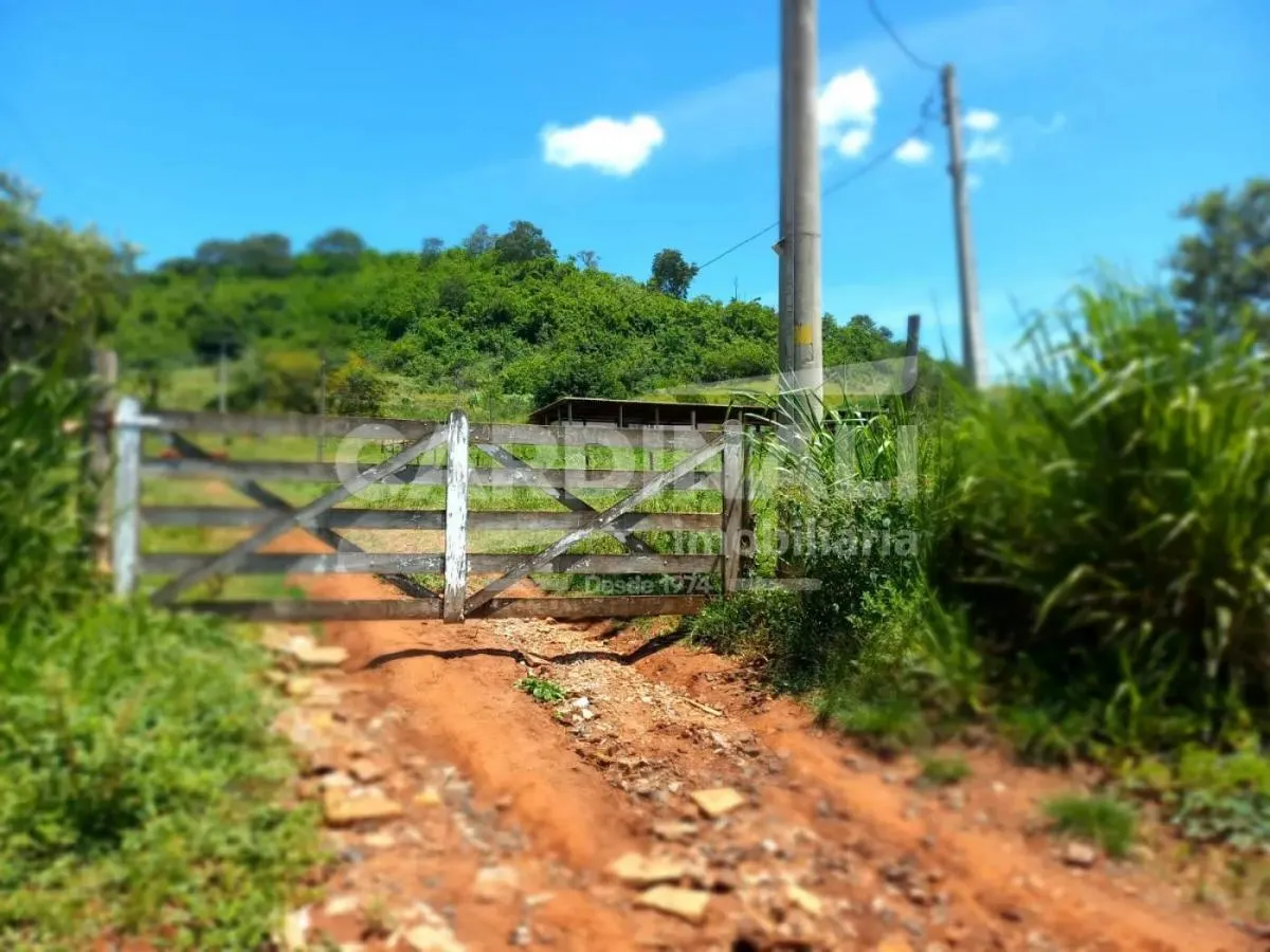 Sítio à venda de 31 ha em São Carlos, SP, Brasil