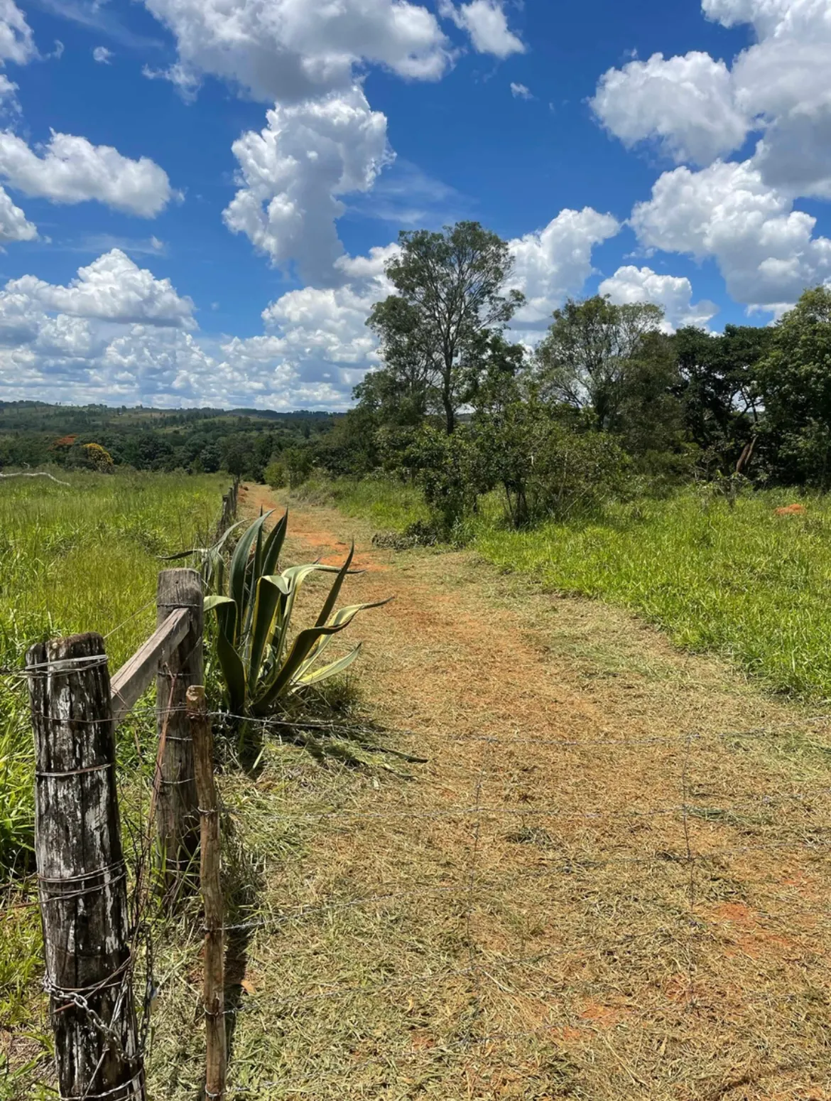 Chácara à venda de 4 ha em Brasília, DF, Brasil