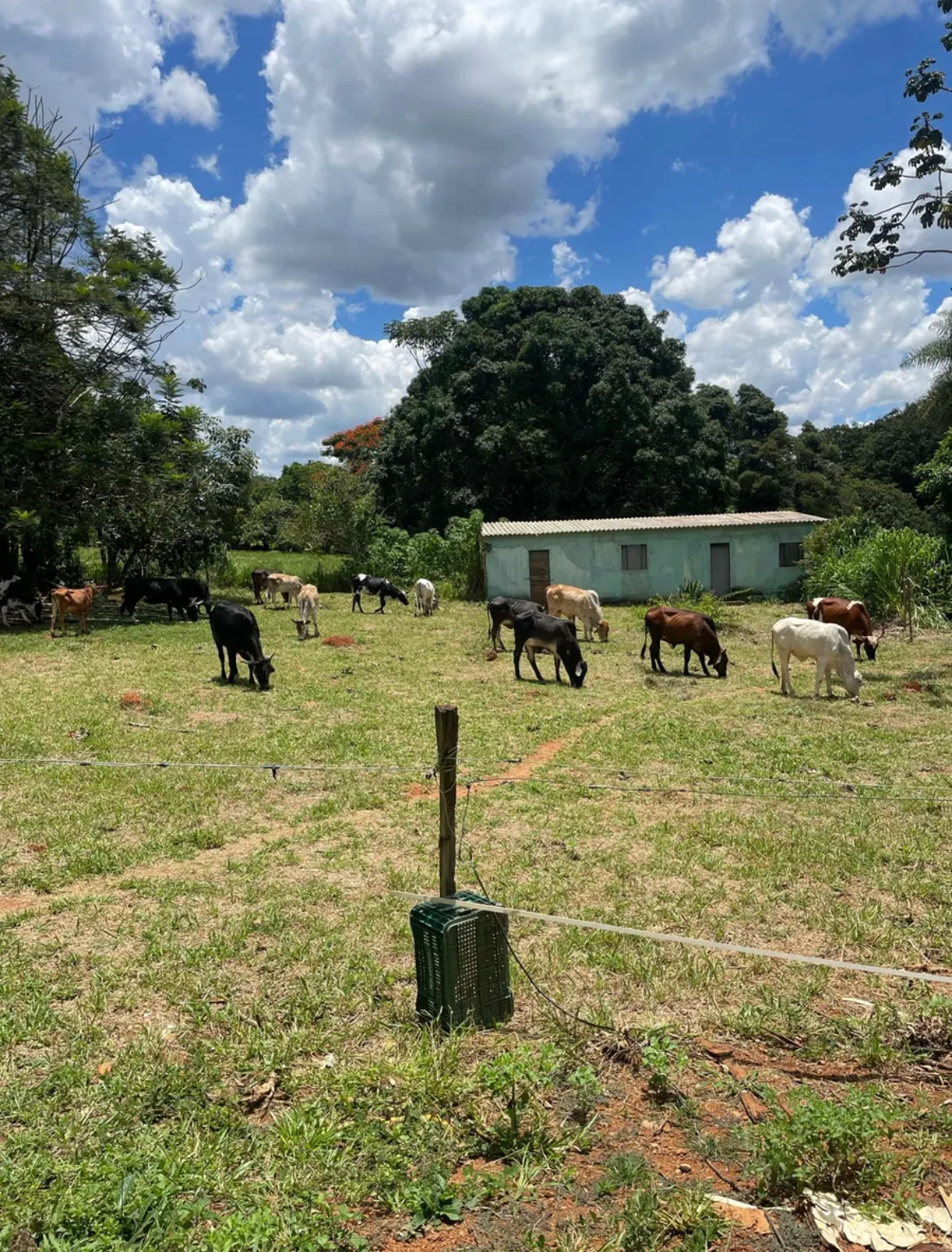 Chácara à venda de 4 ha em Brasília, DF, Brasil