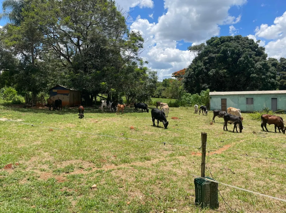 Chácara à venda de 4 ha em Brasília, DF, Brasil