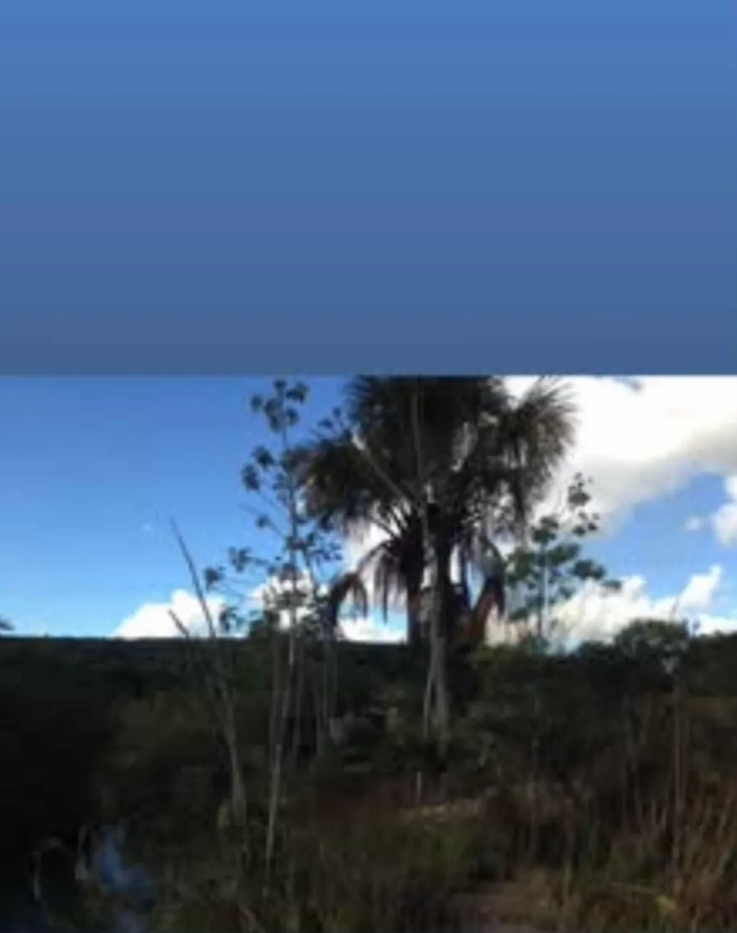 Chácara à venda de 4 ha em Brasília, DF, Brasil