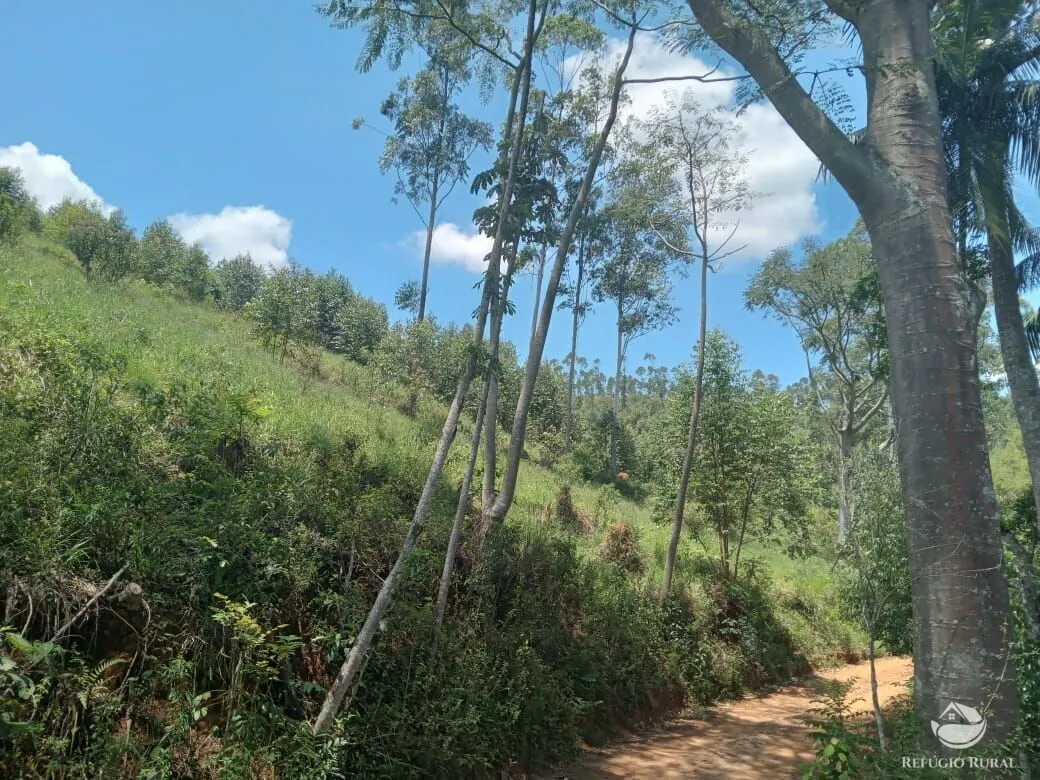 Sítio à venda de 26 ha em Igaratá, SP, Brasil