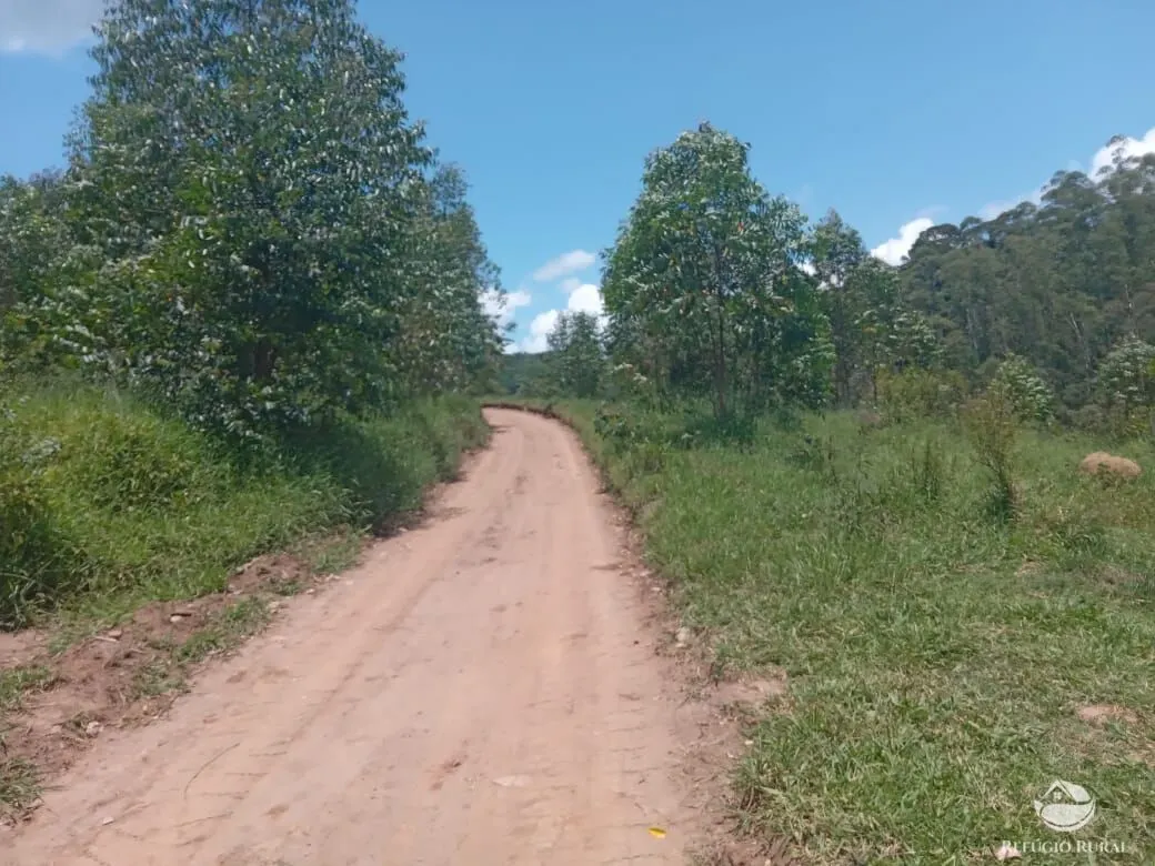 Sítio à venda de 26 ha em Igaratá, SP, Brasil
