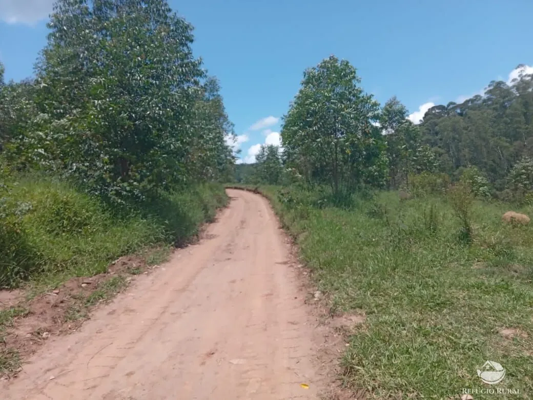 Sítio à venda de 26 ha em Igaratá, SP, Brasil