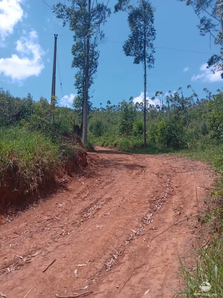 Sítio à venda de 26 ha em Igaratá, SP, Brasil