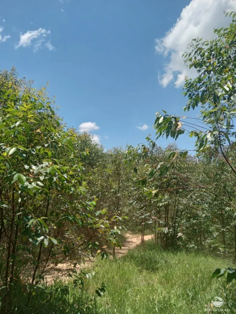 Sítio à venda de 26 ha em Igaratá, SP, Brasil