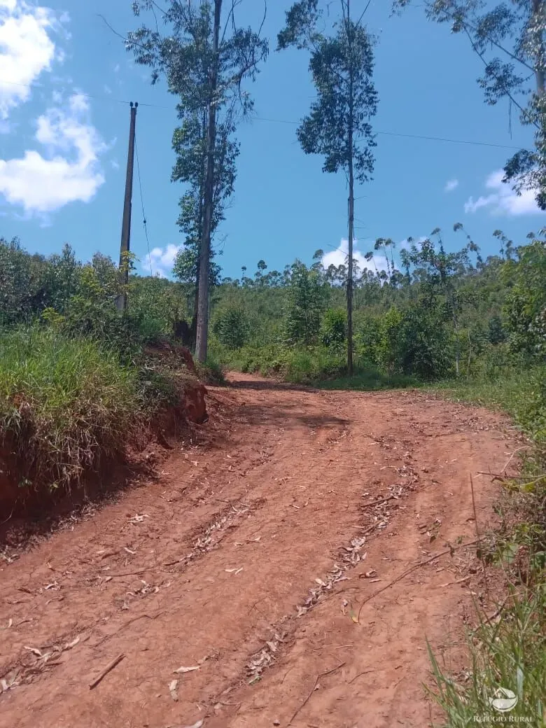 Sítio à venda de 26 ha em Igaratá, SP, Brasil