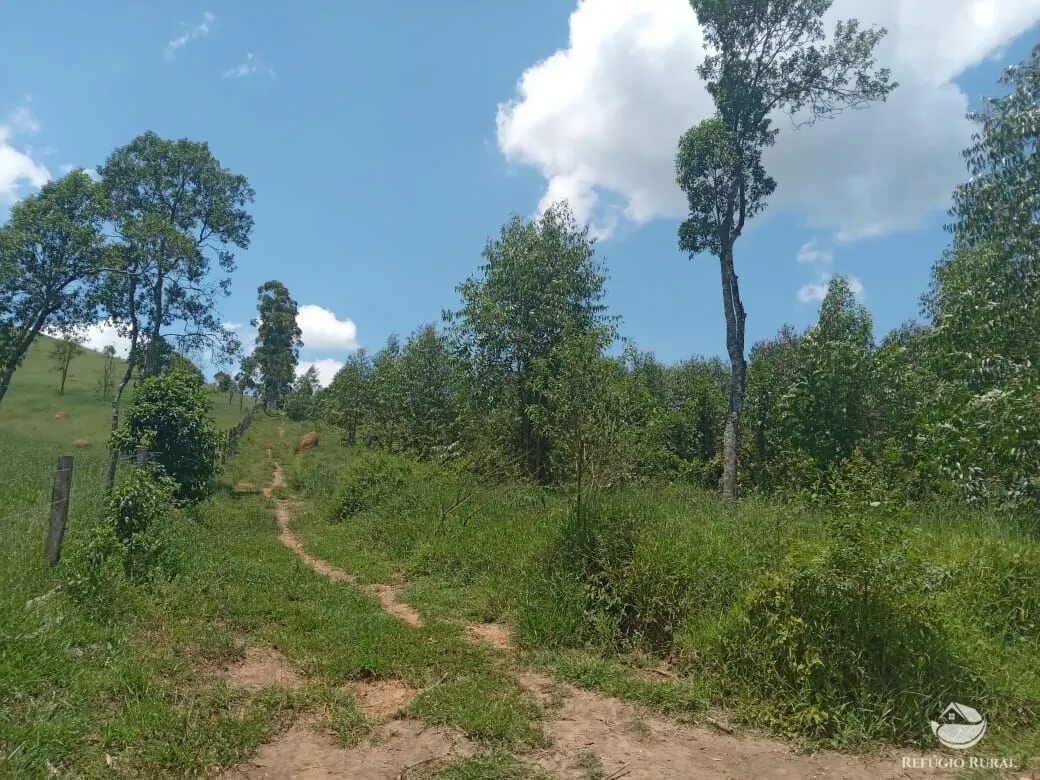 Sítio à venda de 26 ha em Igaratá, SP, Brasil