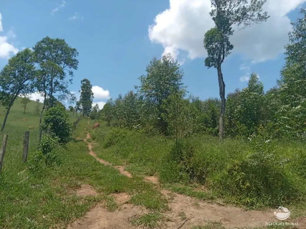 Sítio à venda de 26 ha em Igaratá, SP, Brasil