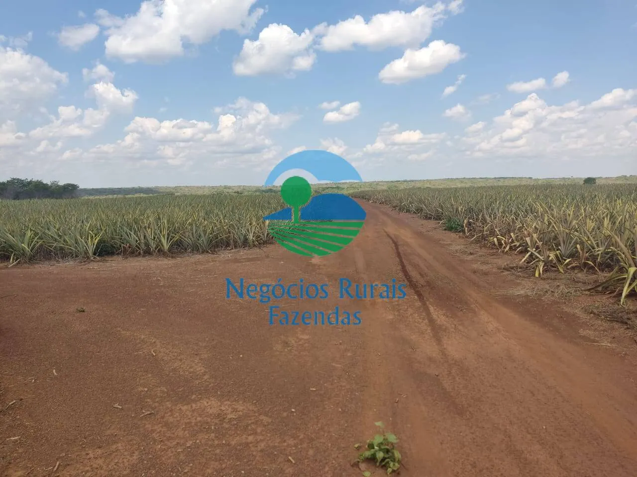 Fazenda à venda de 2.662 ha em Uruaçu, GO, Brasil