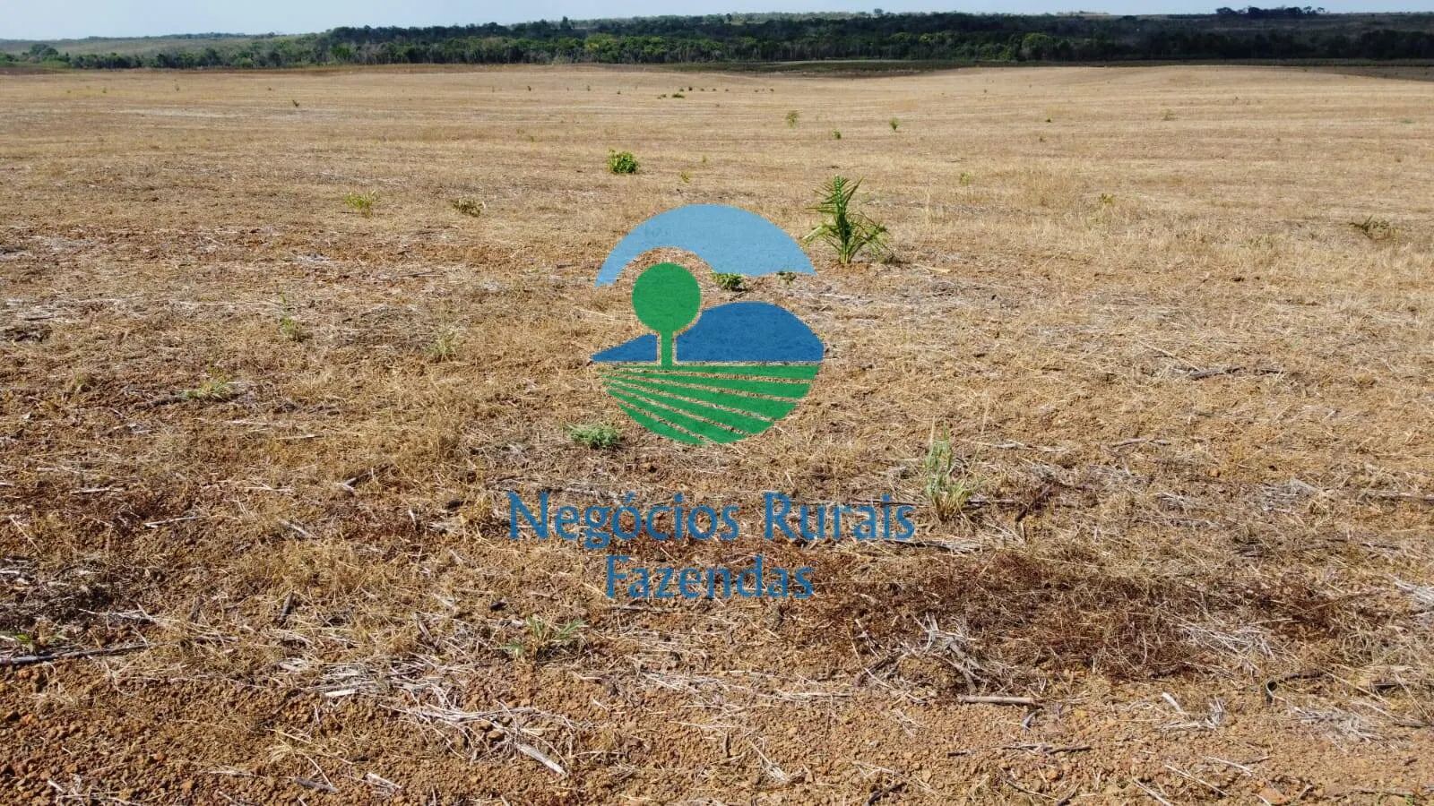 Fazenda à venda de 2.662 ha em Uruaçu, GO, Brasil