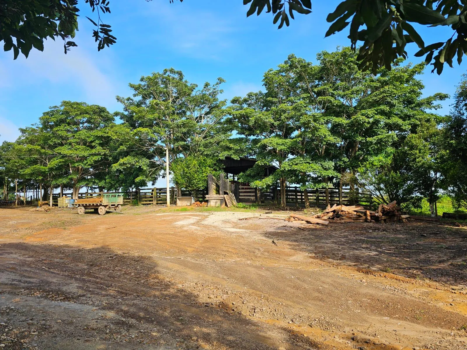 Fazenda à venda de 1.045 ha em Apiacás, MT, Brasil