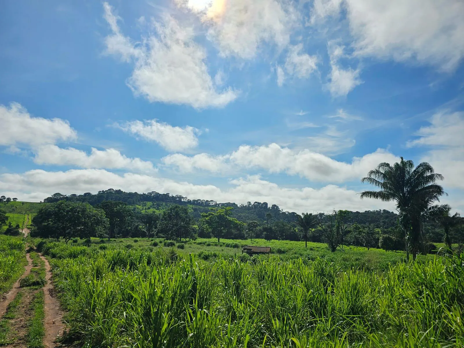 Fazenda à venda de 1.045 ha em Apiacás, MT, Brasil