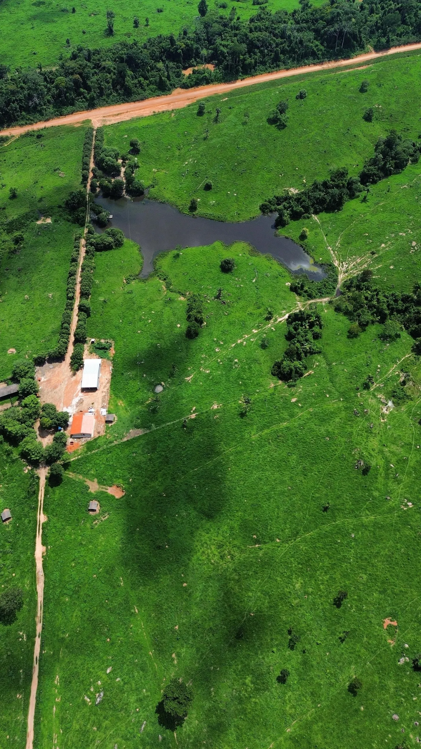 Fazenda à venda de 1.045 ha em Apiacás, MT, Brasil