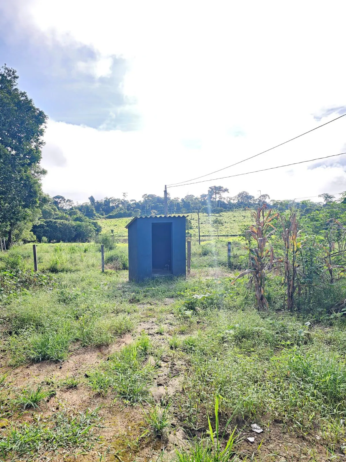Fazenda à venda de 1.045 ha em Apiacás, MT, Brasil