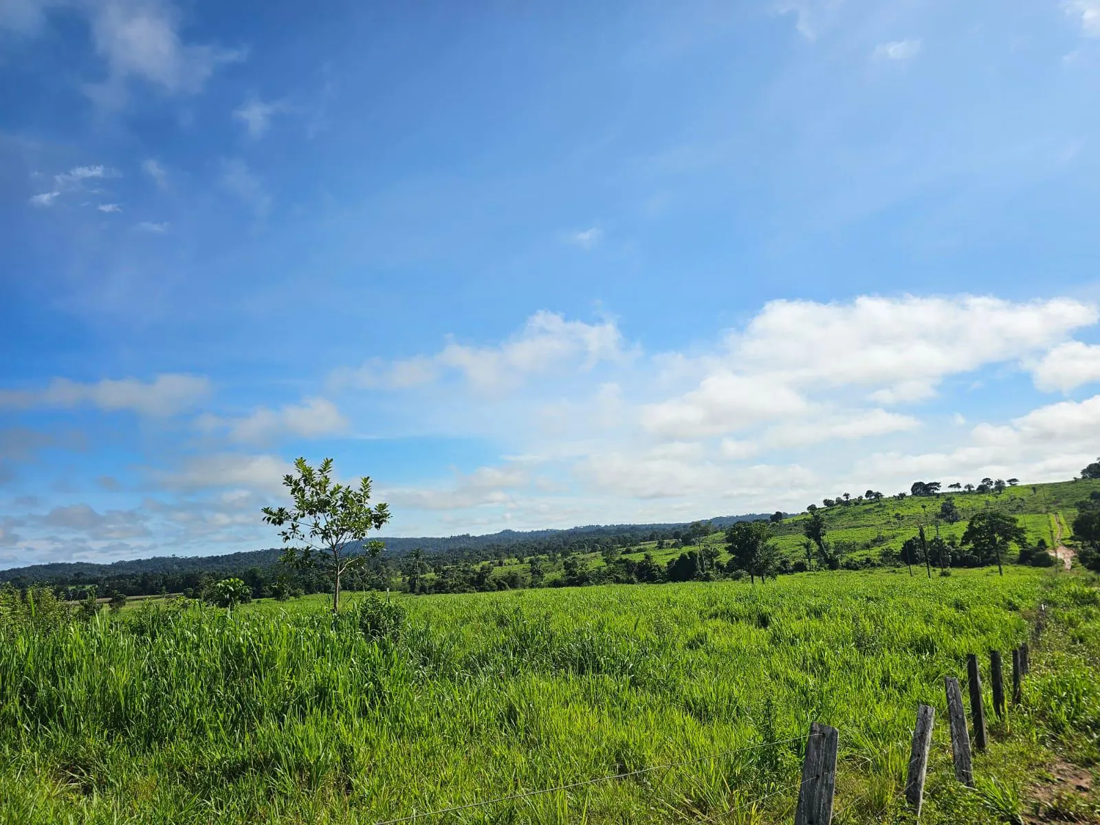 Fazenda à venda de 1.045 ha em Apiacás, MT, Brasil