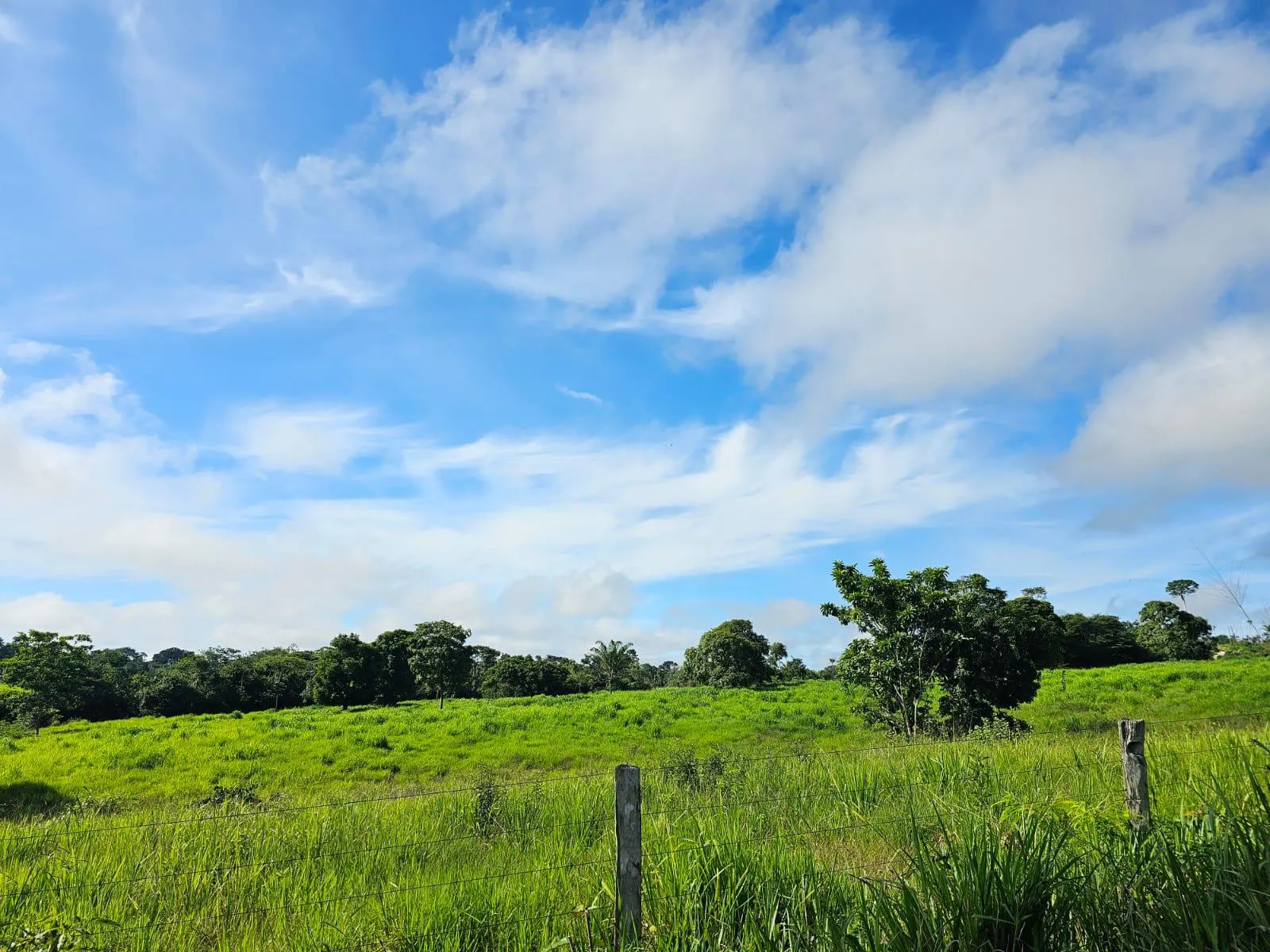 Fazenda à venda de 1.045 ha em Apiacás, MT, Brasil