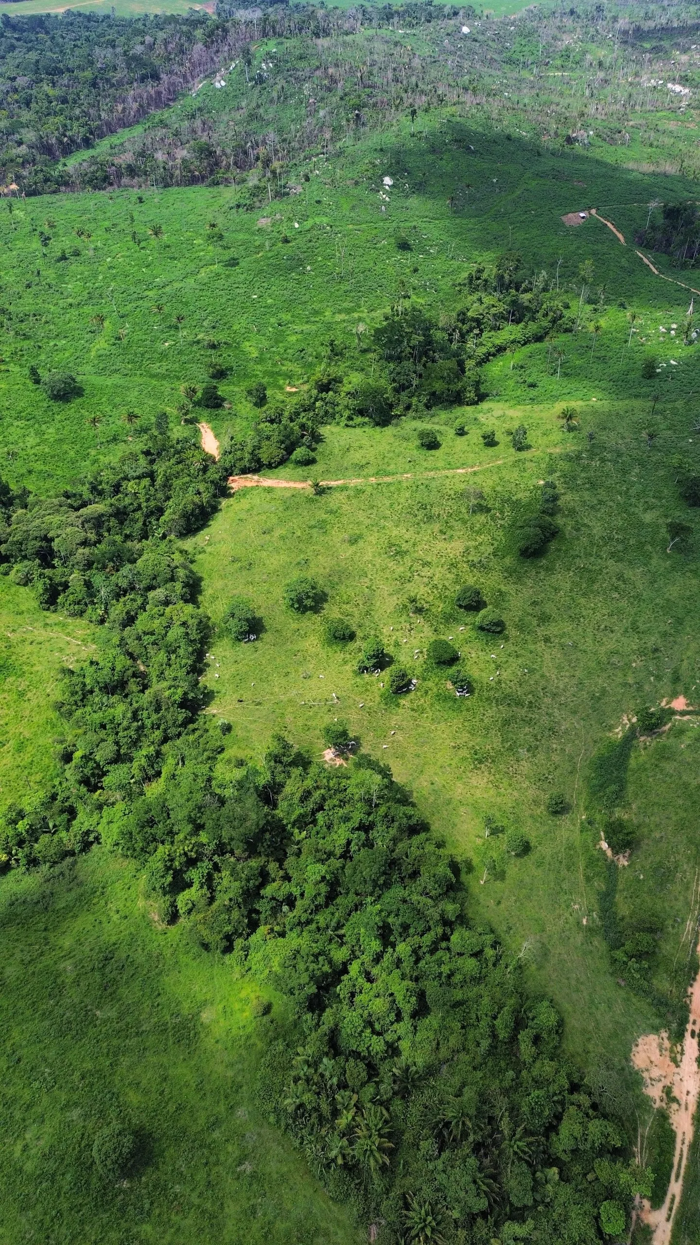 Fazenda à venda de 1.045 ha em Apiacás, MT, Brasil