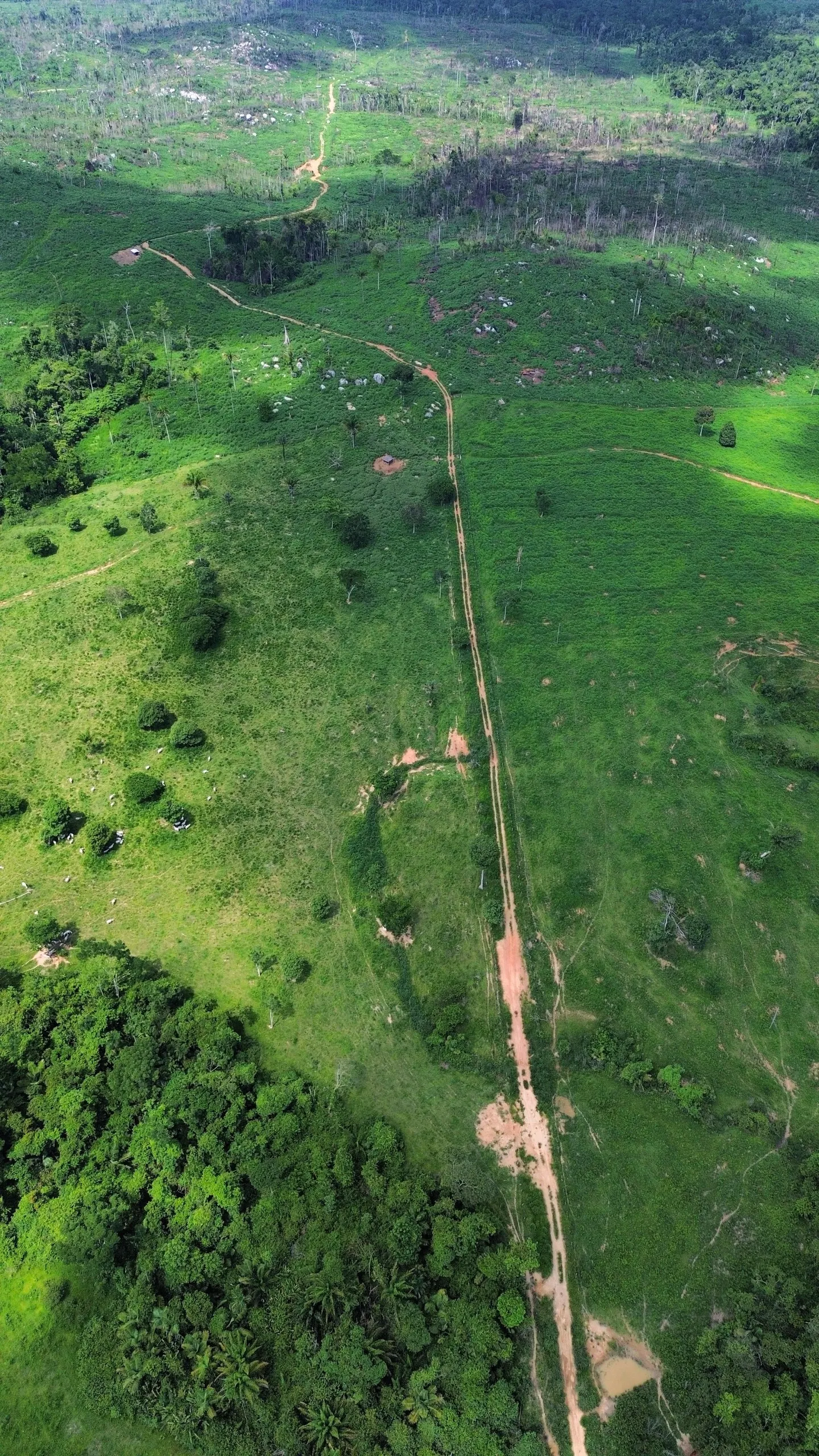 Fazenda à venda de 1.045 ha em Apiacás, MT, Brasil