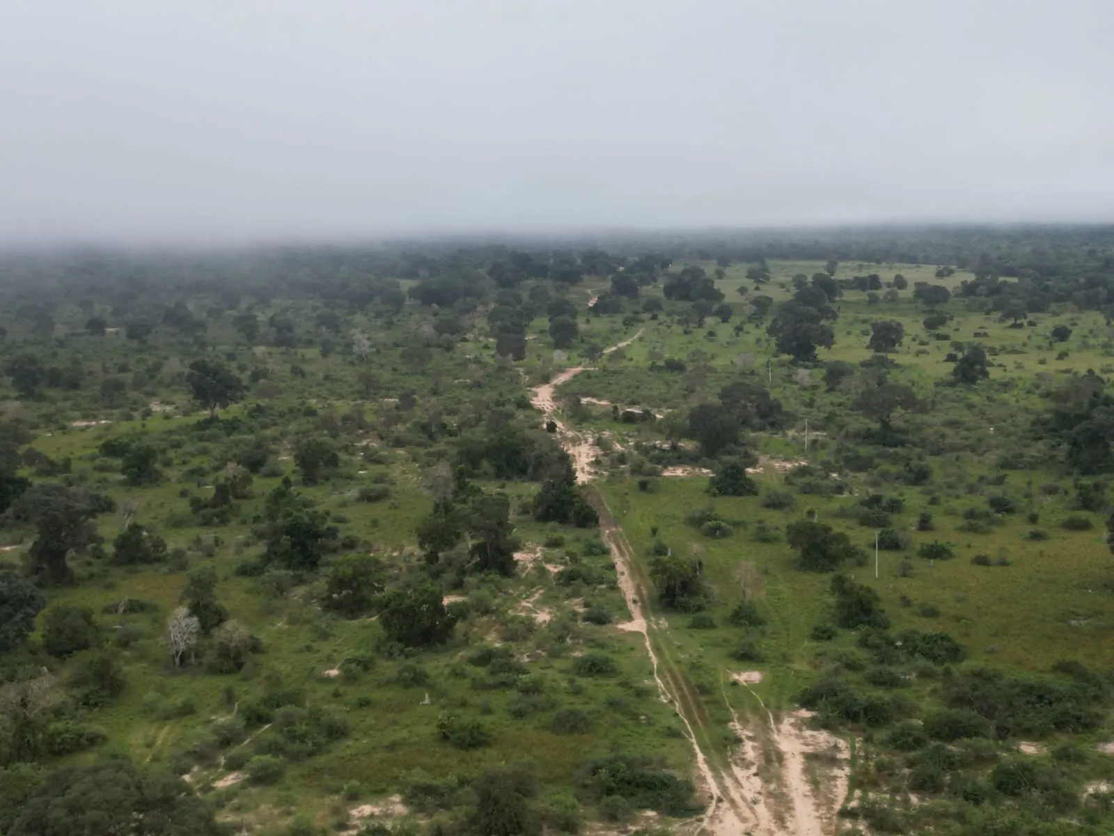 Fazenda à venda de 1.167 ha em Poconé, MT, Brasil