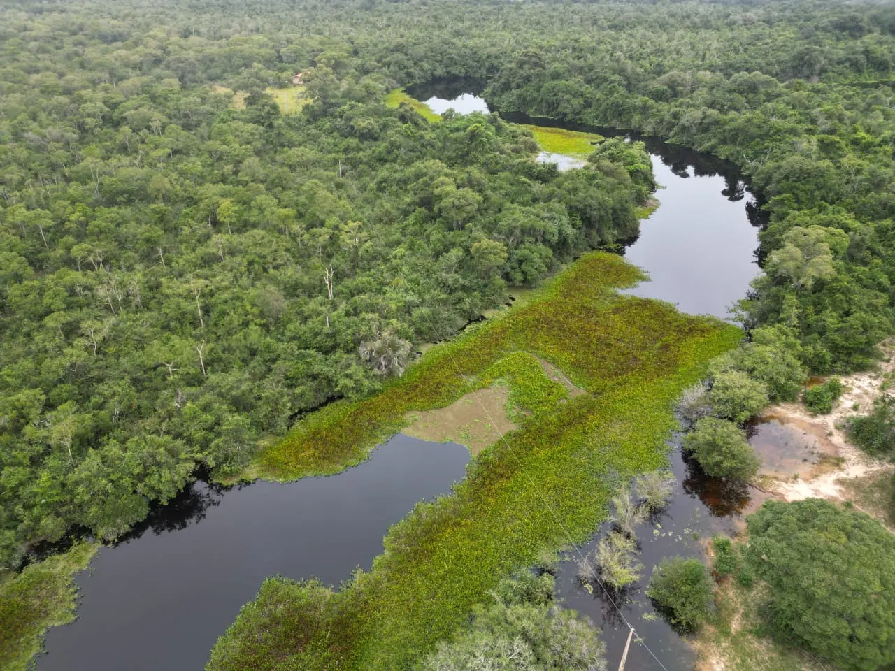 Fazenda à venda de 1.167 ha em Poconé, MT, Brasil