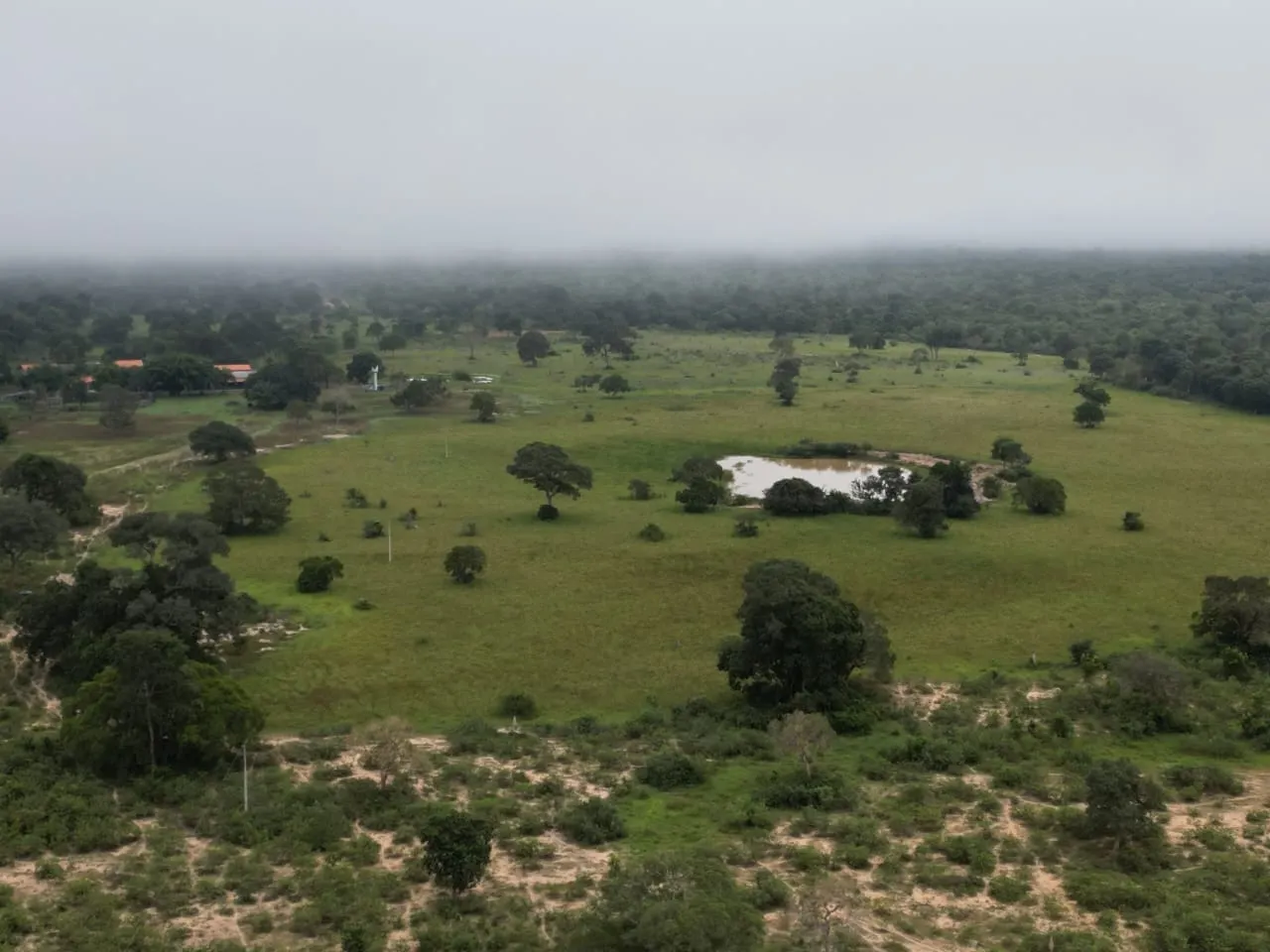 Fazenda à venda de 1.167 ha em Poconé, MT, Brasil