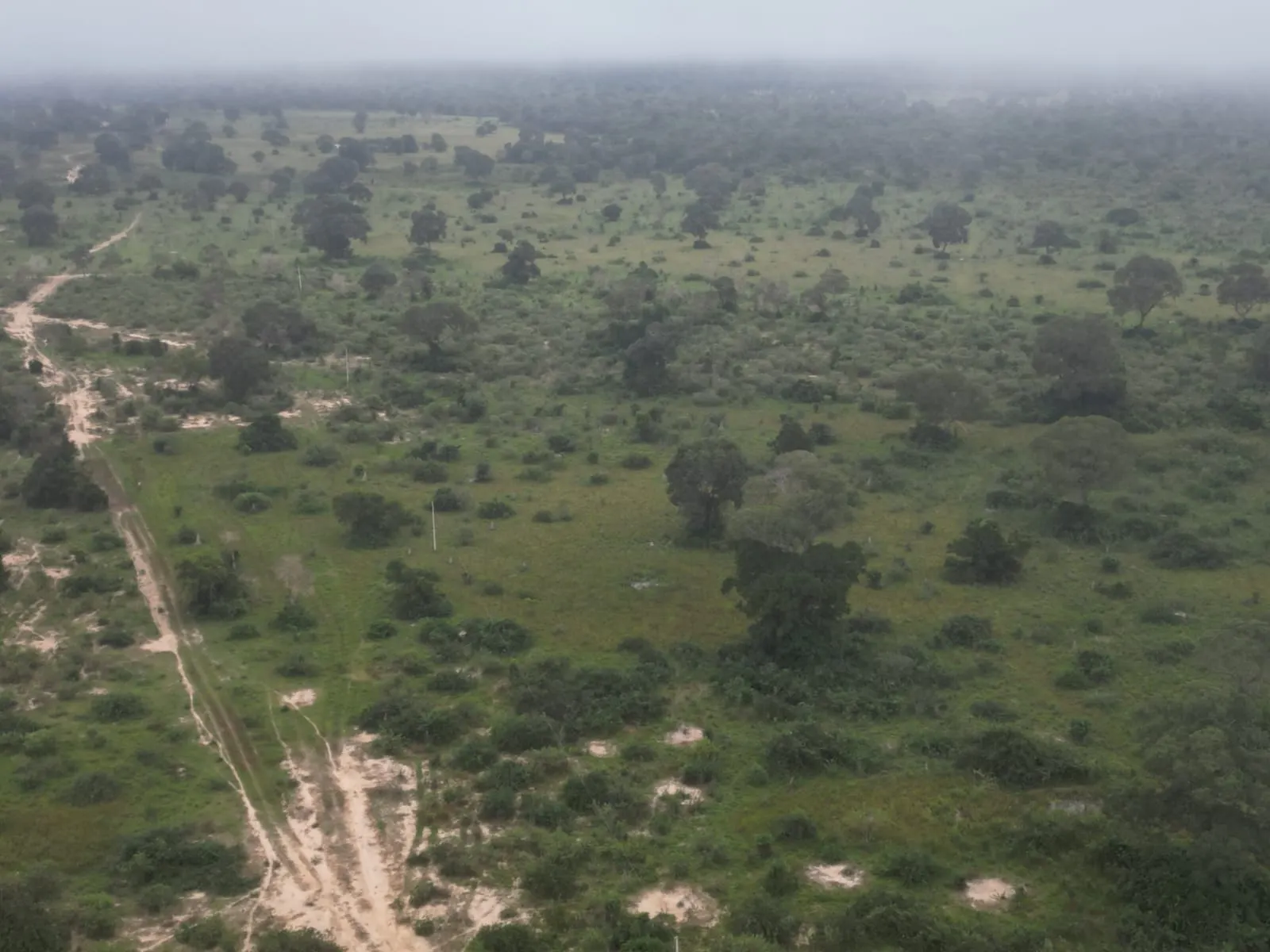 Fazenda à venda de 1.167 ha em Poconé, MT, Brasil