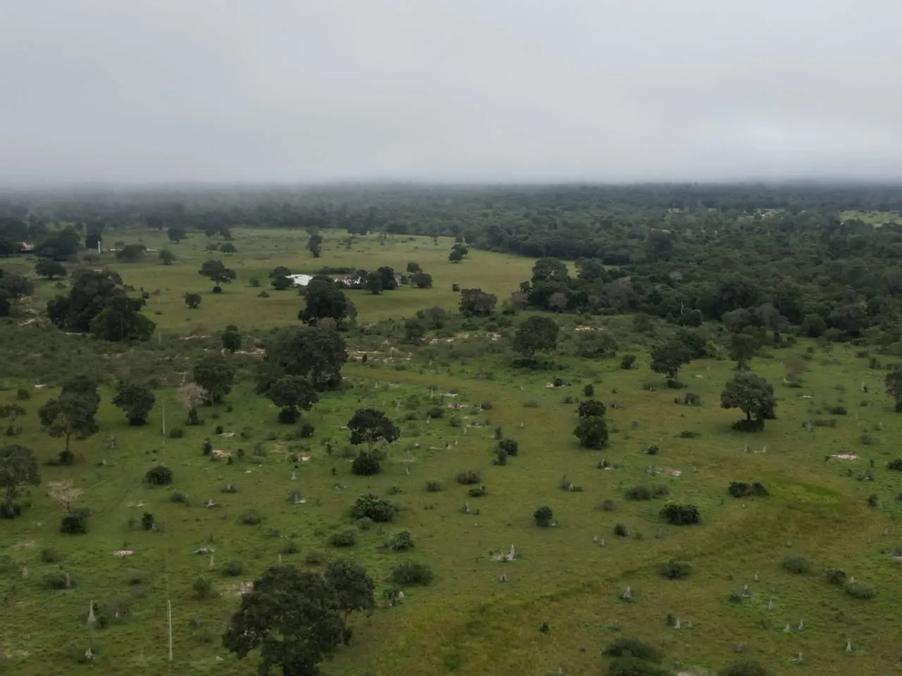 Fazenda à venda de 1.167 ha em Poconé, MT, Brasil