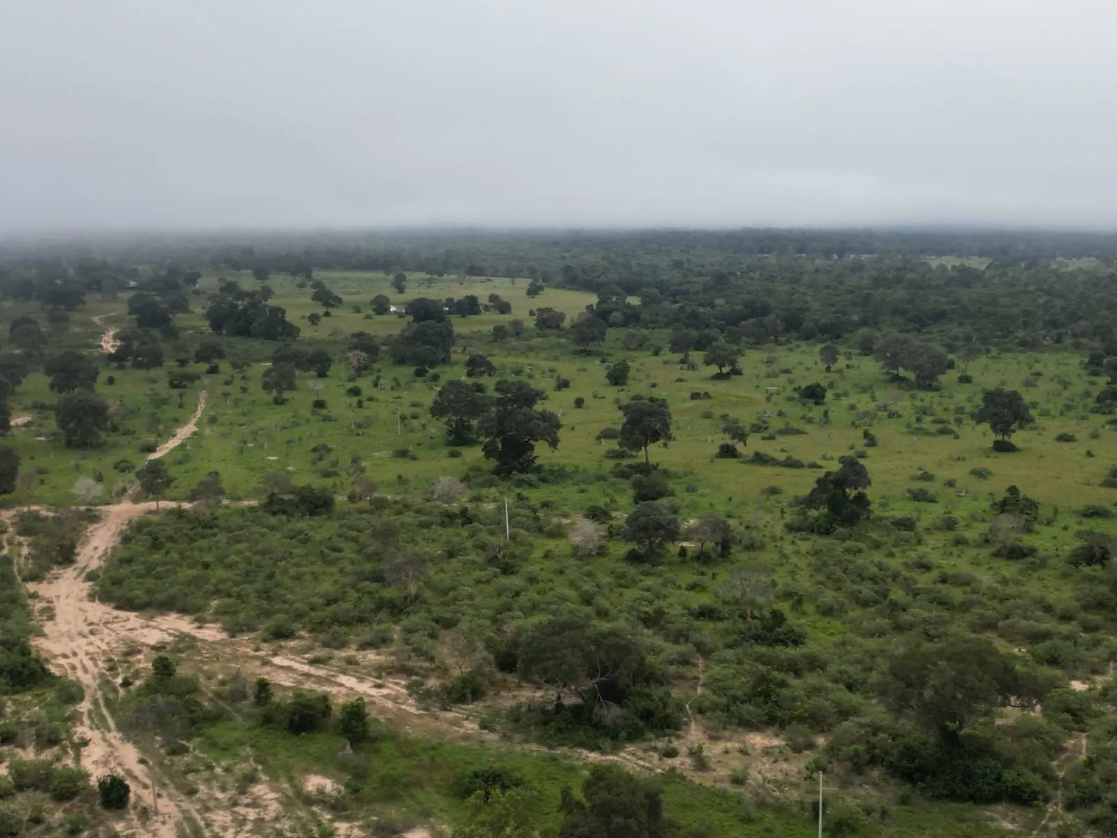Fazenda à venda de 1.167 ha em Poconé, MT, Brasil
