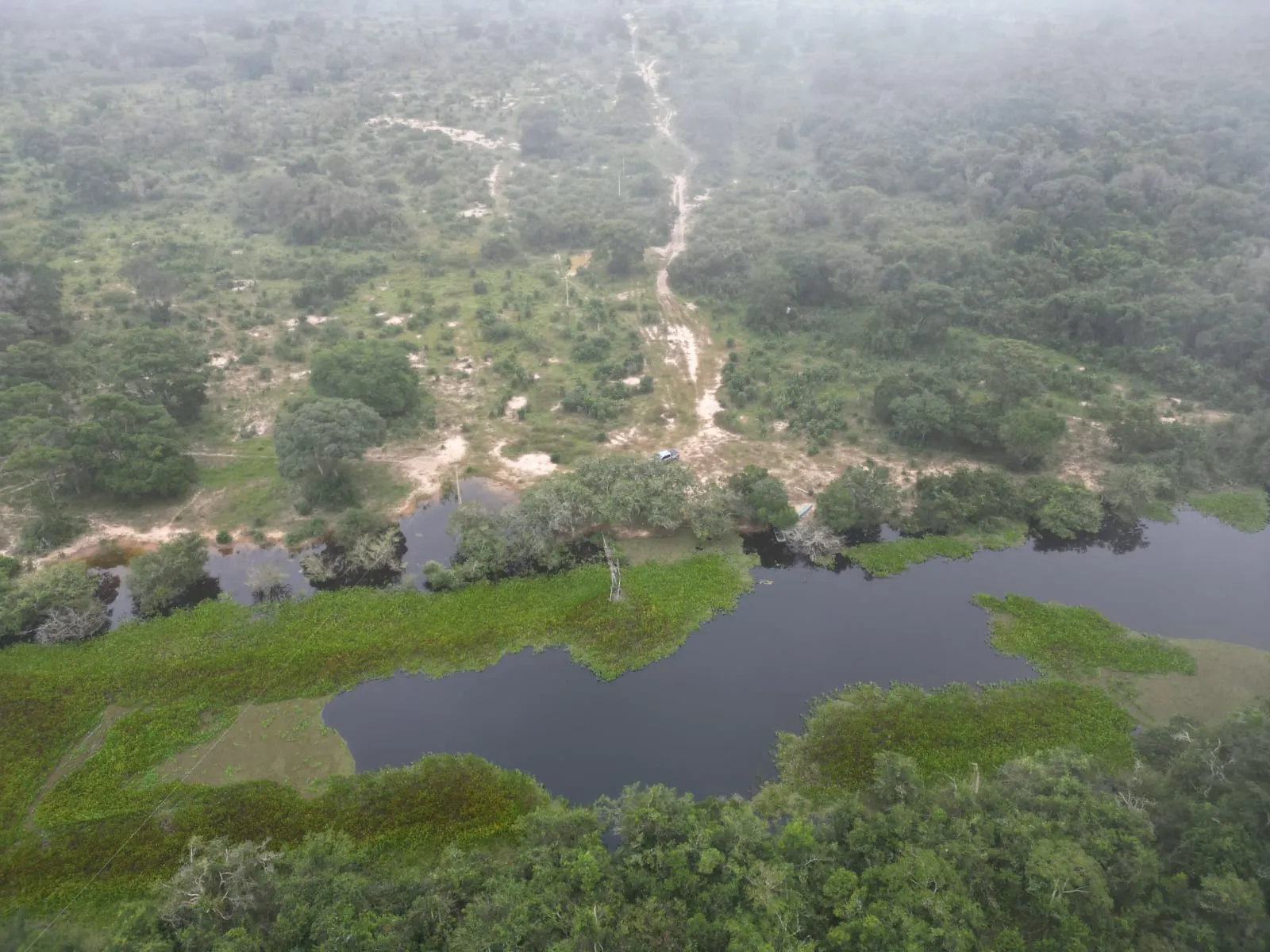 Fazenda à venda de 1.167 ha em Poconé, MT, Brasil