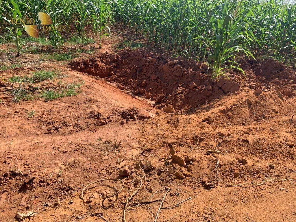 Fazenda à venda de 2.500 ha em Nova Ubiratã, MT, Brasil