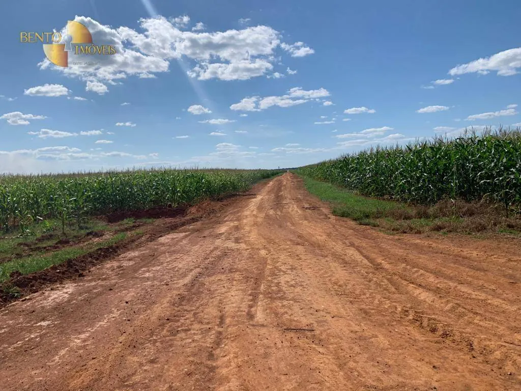Fazenda à venda de 2.500 ha em Nova Ubiratã, MT, Brasil