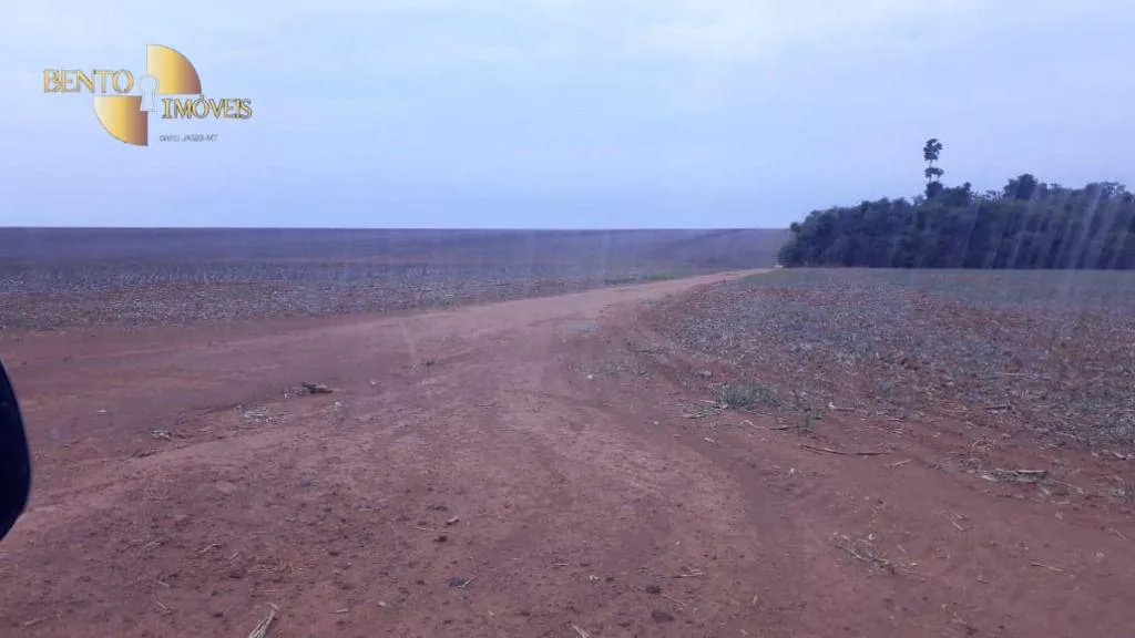 Fazenda à venda de 2.500 ha em Nova Ubiratã, MT, Brasil