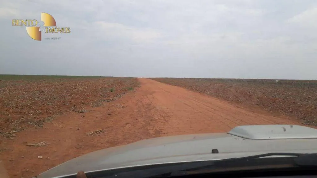 Fazenda à venda de 2.500 ha em Nova Ubiratã, MT, Brasil