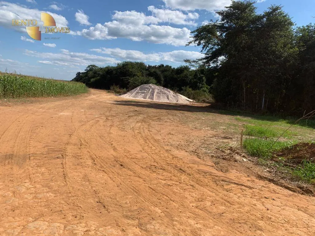 Fazenda à venda de 2.500 ha em Nova Ubiratã, MT, Brasil