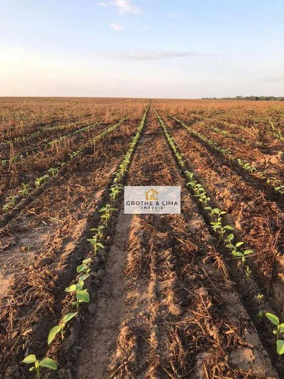 Fazenda à venda de 4.808 ha em São Luís, MA, Brasil